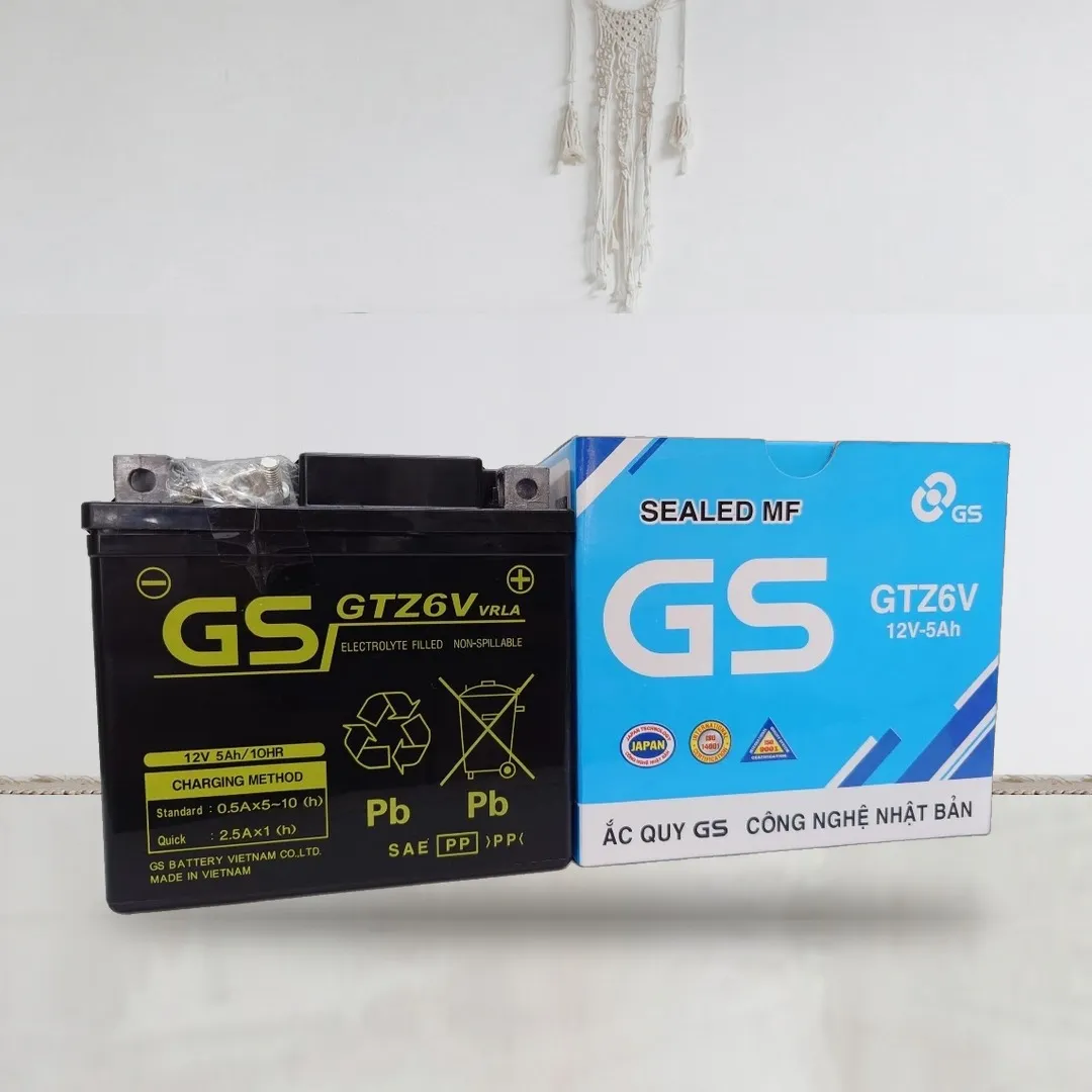 Bình ắc quy khô GS GTZ6V 12V 5Ah PCX Lead